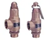 Safety relief valve